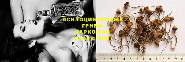 apvp Балабаново