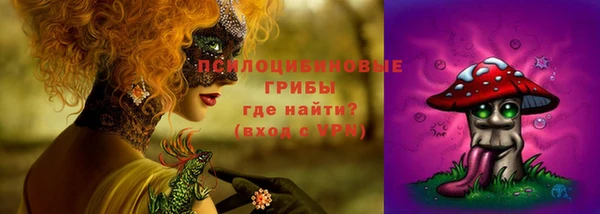 apvp Балабаново