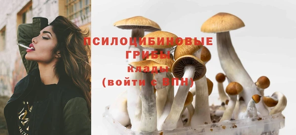 альфа пвп Баксан