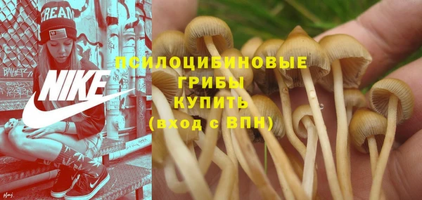 apvp Балабаново