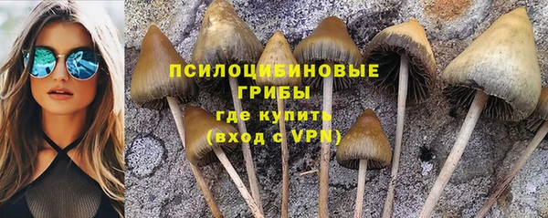 альфа пвп Баксан