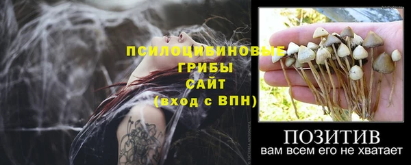 альфа пвп Баксан