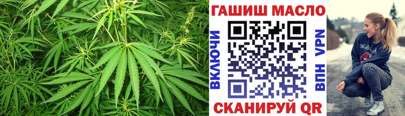 сколько стоит  Няндома  ТГК концентрат 